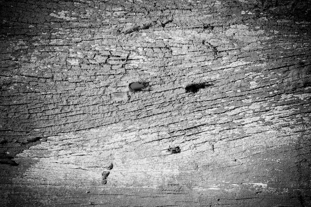 Textura de fondo de madera vieja.