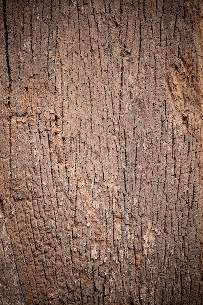 Foto textura de fondo de madera vieja.