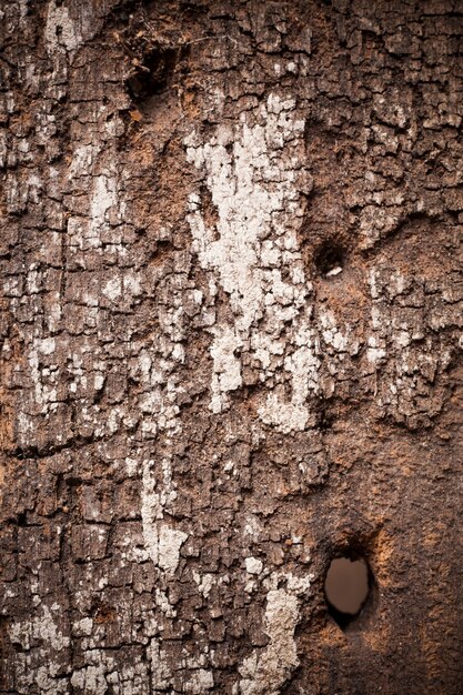 Textura de fondo de madera vieja.