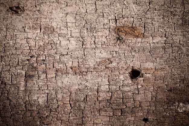 Textura de fondo de madera vieja.
