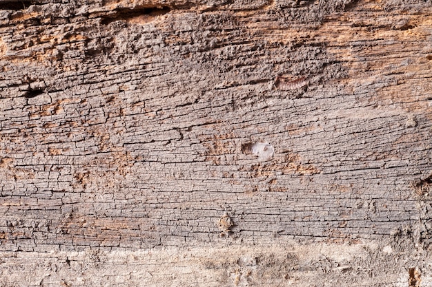 Textura de fondo de madera vieja.