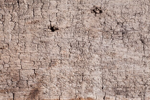 Textura de fondo de madera vieja.