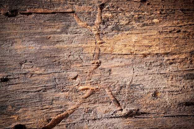 Textura de fondo de madera vieja.