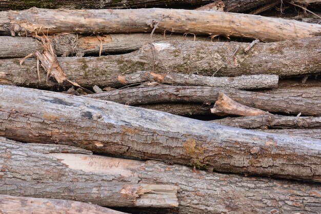 Textura del fondo de la madera