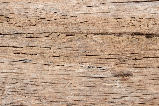 Textura de fondo natural de madera vieja