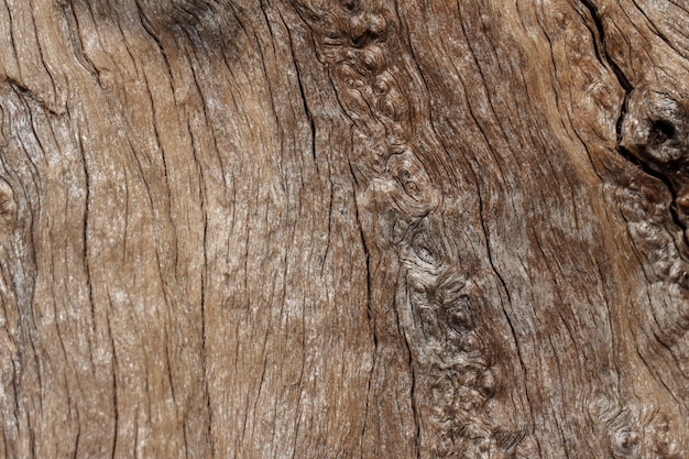 Textura de fondo natural de madera vieja