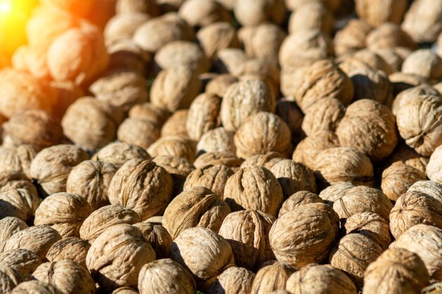 Textura de fondo de nuez natural Nueces abstractas Cosecha agricultura El concepto es una alimentación saludable