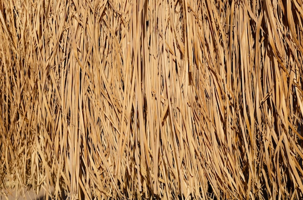 Textura de fondo de pacas de heno, pasto seco marrón.