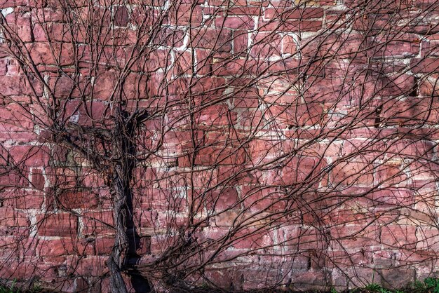 Textura de fondo de pared de ladrillo de piedra de grunge