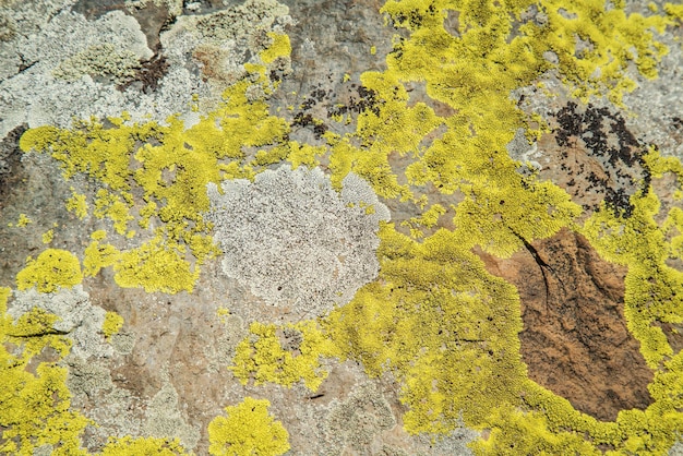 Textura de fondo de piedra natural