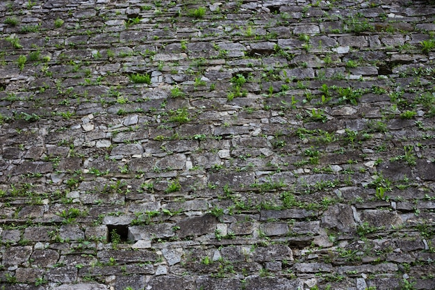 Textura de fondo de piedra vieja