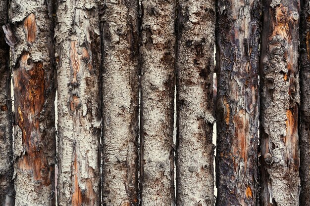 Textura de fondo de valla de madera vieja