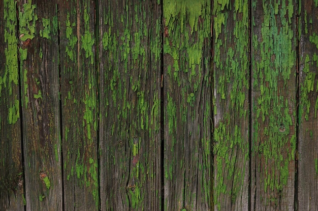 Textura de fondo de la vieja pared de madera con pintura descascarada verde