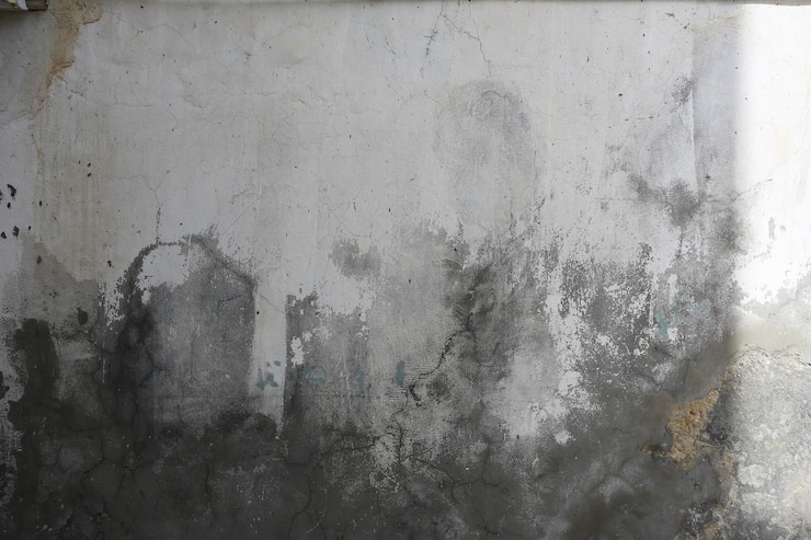 Foto textura de fondo