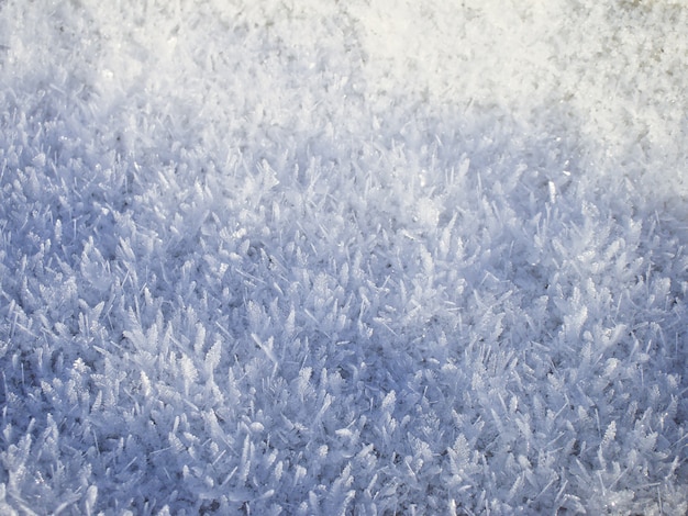 Textura fresca de la nieve, escena del invierno, fondo de la nieve.