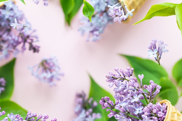 La textura fresca de la primavera de las flores de la lila con las tazas de la oblea del vuelo para el helado en vuelo. Concepto de floración de primavera