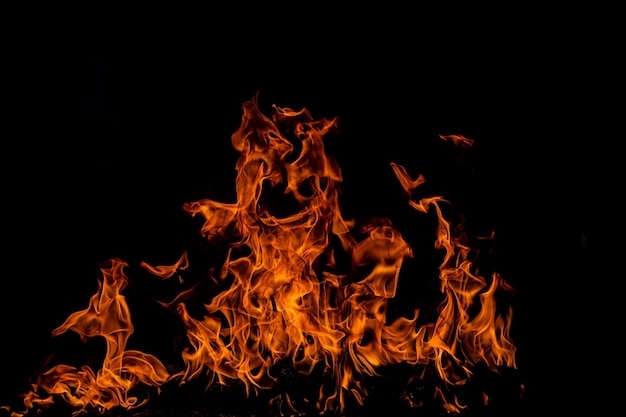 Textura de fuego sobre un fondo negro fuego abstracto fondo de llama gran fuego ardiente