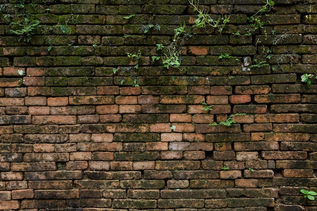 Foto textura grande de la pared vieja del fondo.