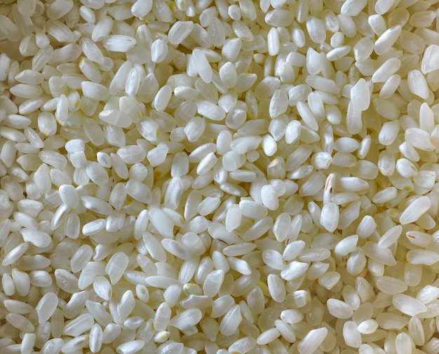 Textura de grano de arroz blanco