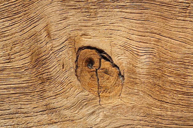 Textura de grano de madera real