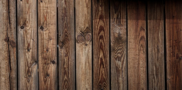 Textura de grano de madera