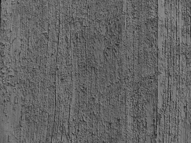 Textura gris La textura de la madera se tonifica en gris