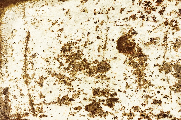 Textura grunge pintado con hierro de pintura blanca con manchas oxidadas