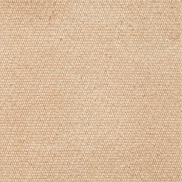 Textura grunge del viejo lienzo beige