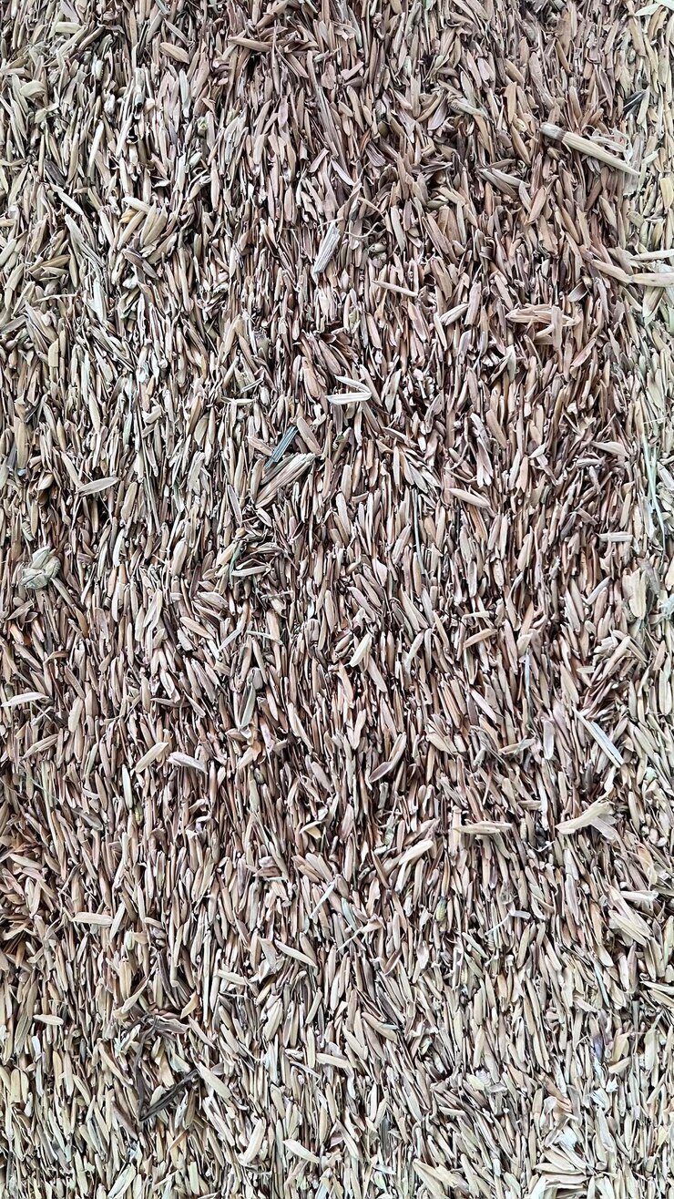 Textura heno material pajar fondo papel pintado trigo alpiste peldaños decoración