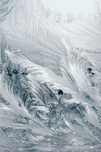 Textura de hielo, en la ventana, blanco.