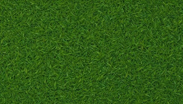 la textura de la hierba se muestra en esta imagen