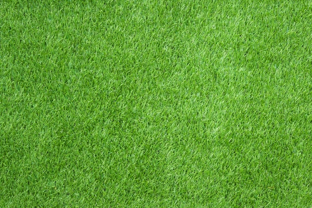 Textura de la hierba verde para el fondo.