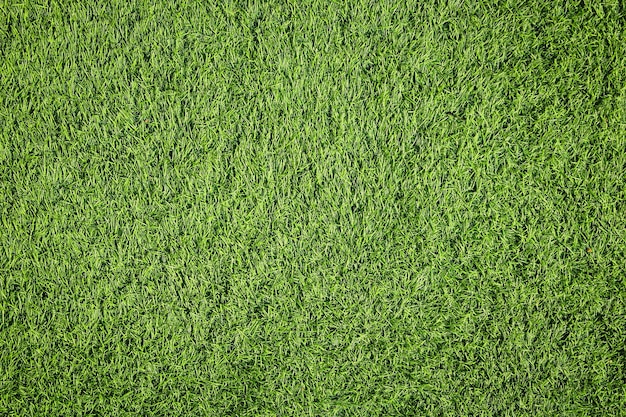 Textura de la hierba verde