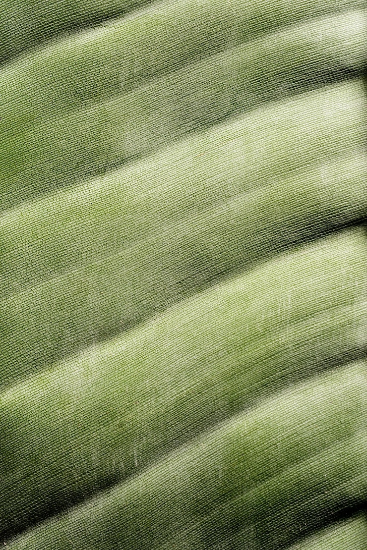 Foto textura de hoja de strelitzia verde con líneas de fondo natural macro imagen de primer plano