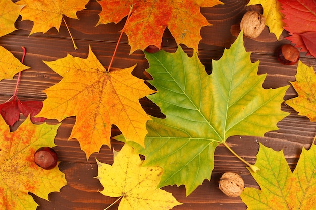 Textura de hojas de otoño en la pizarra