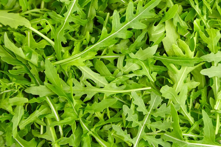 Textura de hojas de rúcula fresca verde