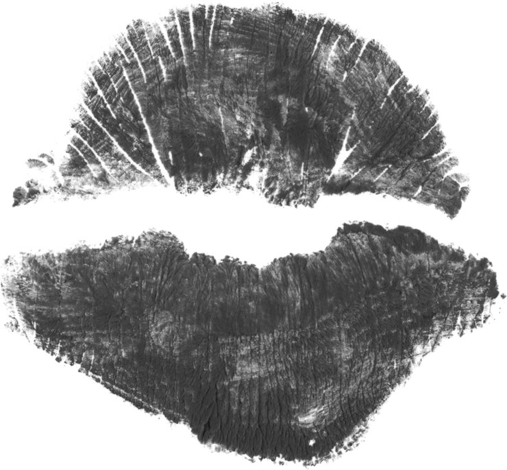 Foto textura de la huella del beso