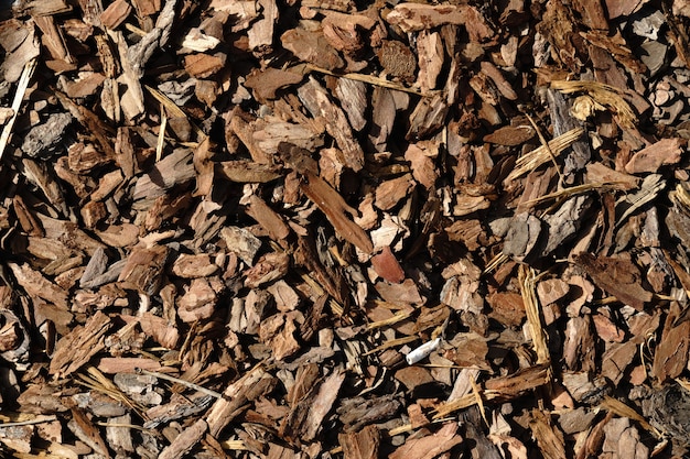 textura de jardín de fondo de corteza