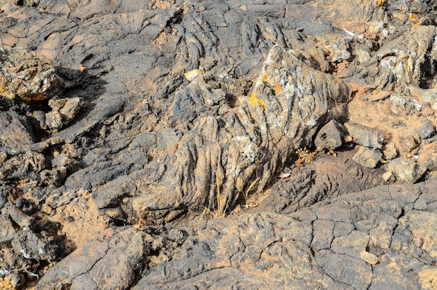 Textura de lava seca