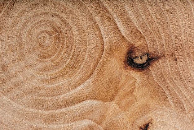 Textura de losa de madera de fresno con anillos anuales