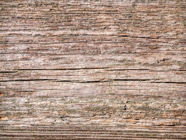 Textura de madera antigua