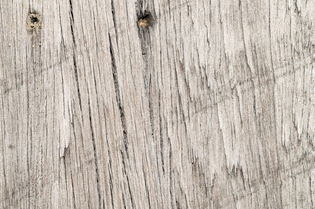 textura de madera del árbol