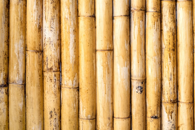 Textura de madera de bambú, fondo de la naturaleza