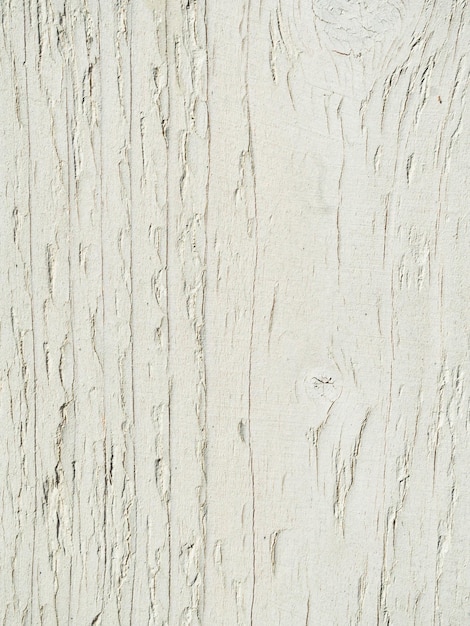 Textura de madera blanca con fondo de patrones naturales.