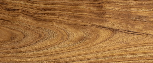 Textura de madera de Cercis siliquastrum