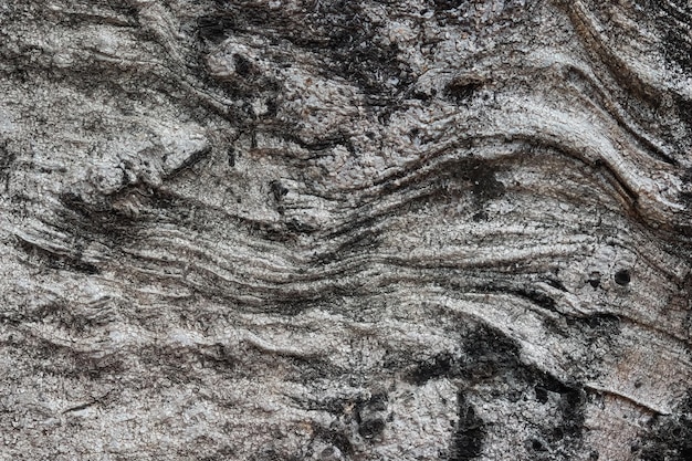 Textura de madera contrastante para introducción o fondo