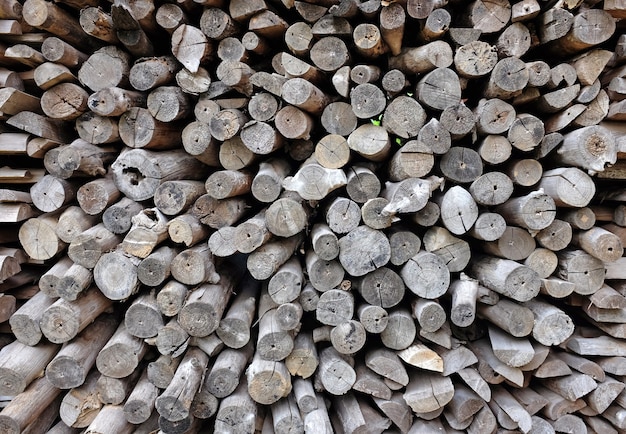 Textura de madera cortada en cruz para leña en granja