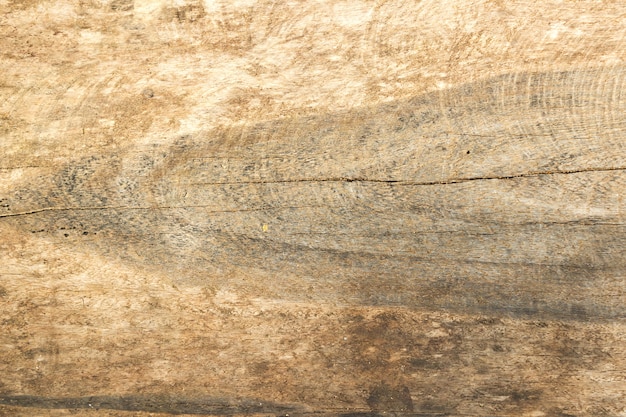 Textura de madera del corte del primer.