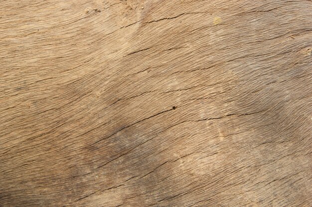 Textura de madera del corte del primer.