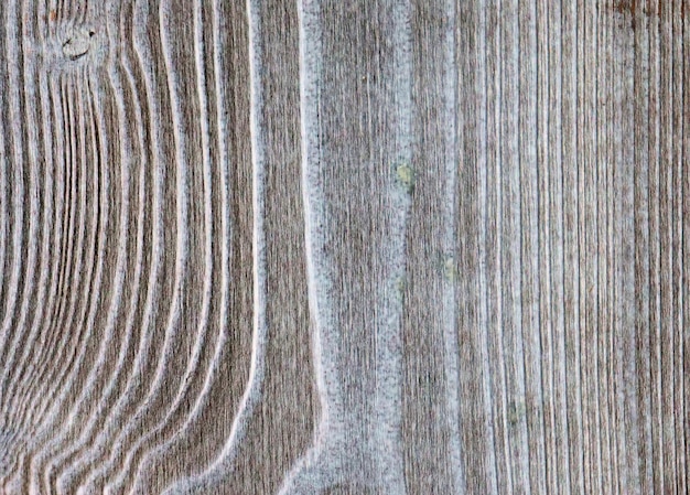 Textura de madera de fondo de madera clara